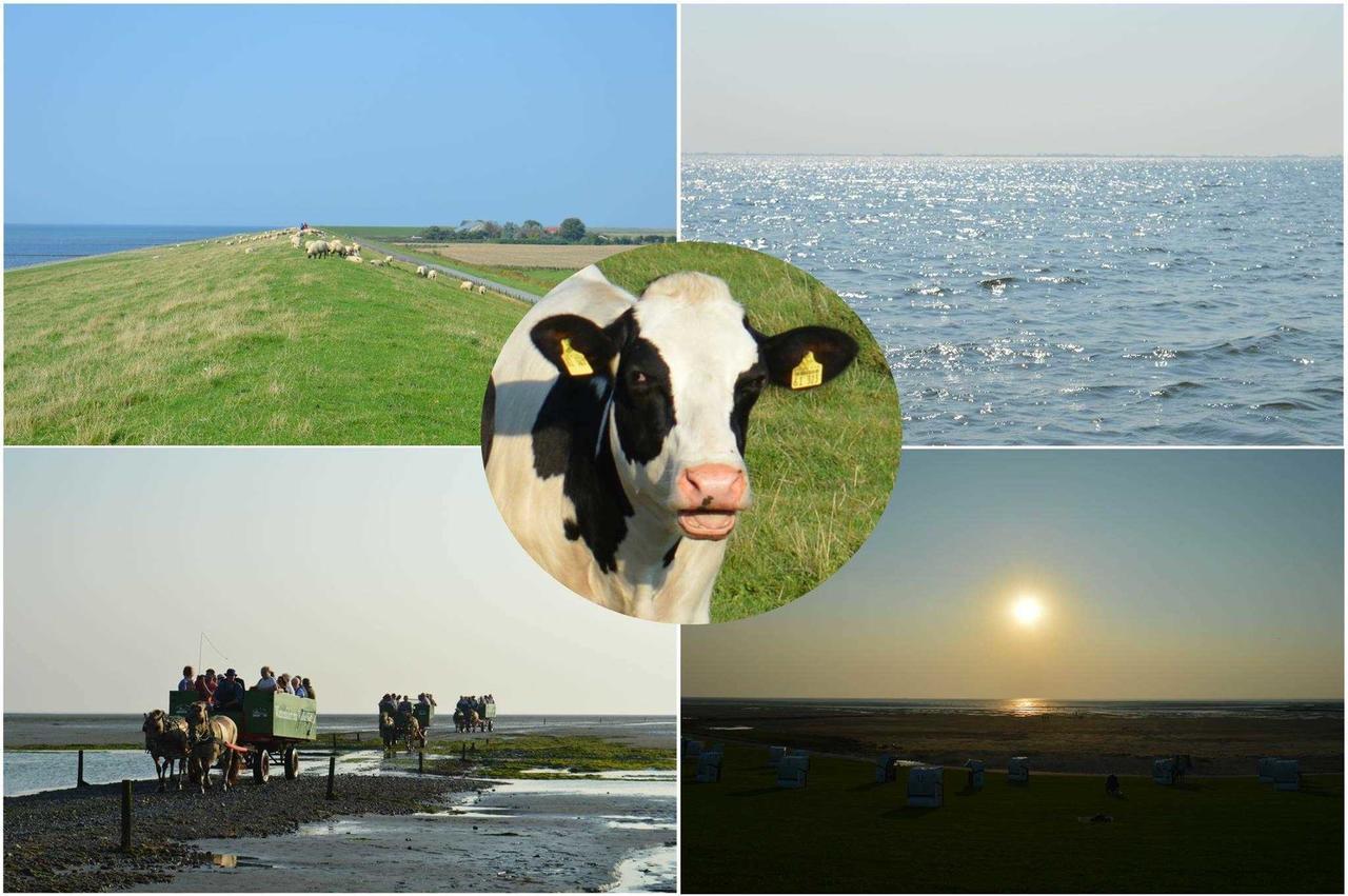 Ferienwohnungen Im Womoland Auf No Nordstrand Esterno foto